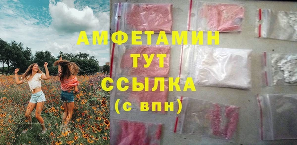 шишки Баксан