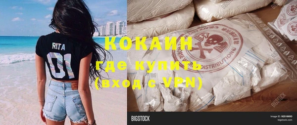 шишки Баксан