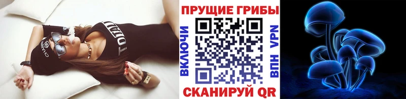 сайты даркнета состав  купить наркотики цена  Ясногорск  Псилоцибиновые грибы мицелий 